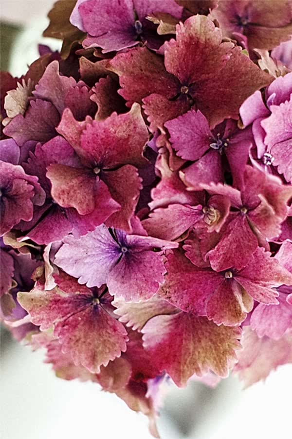 weddign flowers