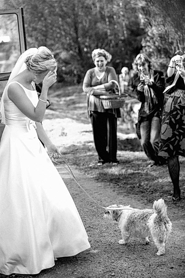 bride with her dog outside church