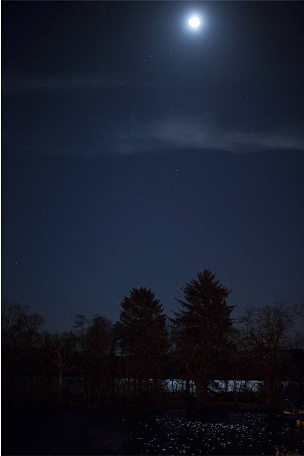 moon light over loch lomond at cameron house