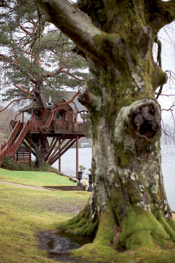 tree house wedding venue