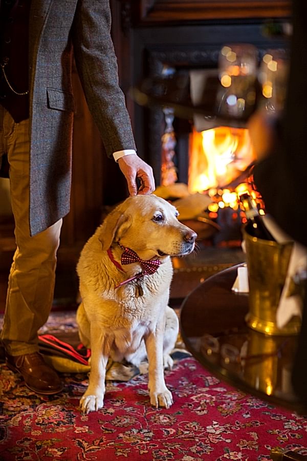 dog and groom inside the lodge on loch goil scotland
