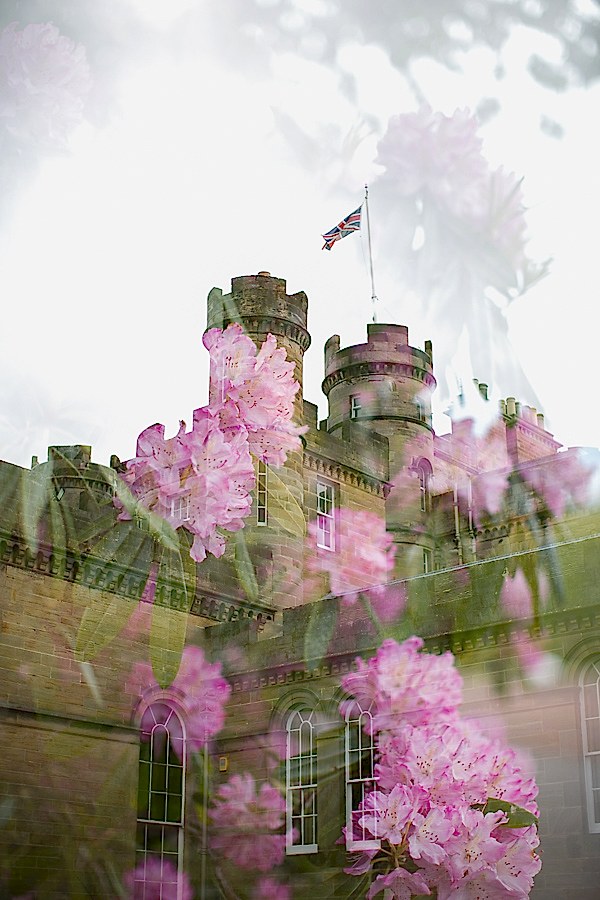 collage of oxenford castle and flowers fotogenic of scotland