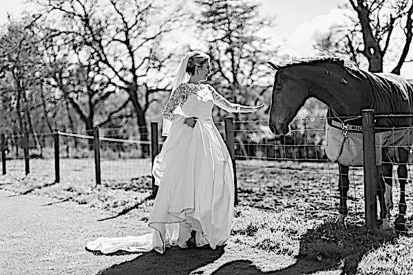 bride touching a horse 