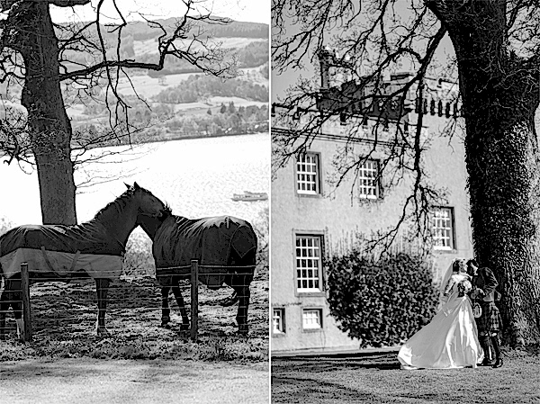 horser collage with bride and groom boturich castle wedding photos scotland