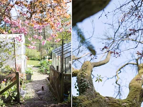 boturich castle garden details