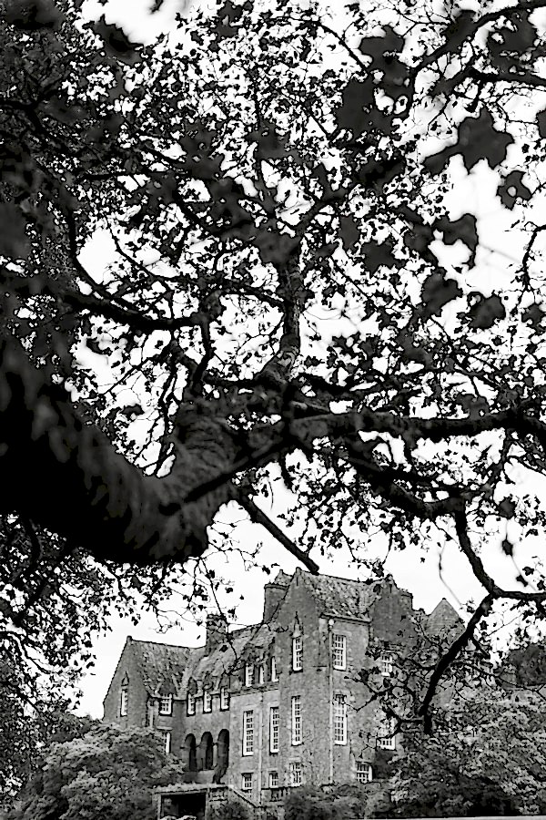 ardkinglas house view from garden wedding venue
