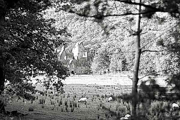 ardkinglas house wedding venue near glasgow