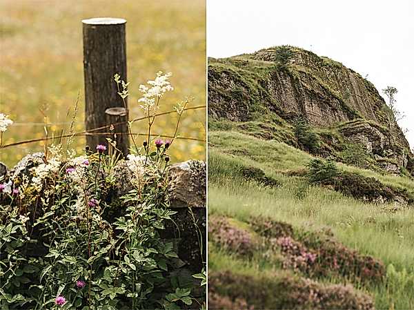 nature at loch goil