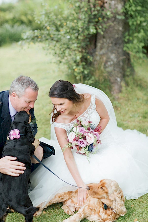 bride and groom with dogs at pet friendly venue
