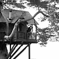 married couple in a tree house over loch goil lodge
