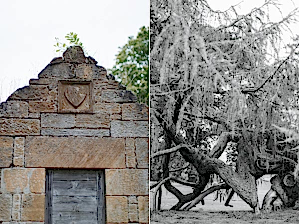 dundas castle gardens
