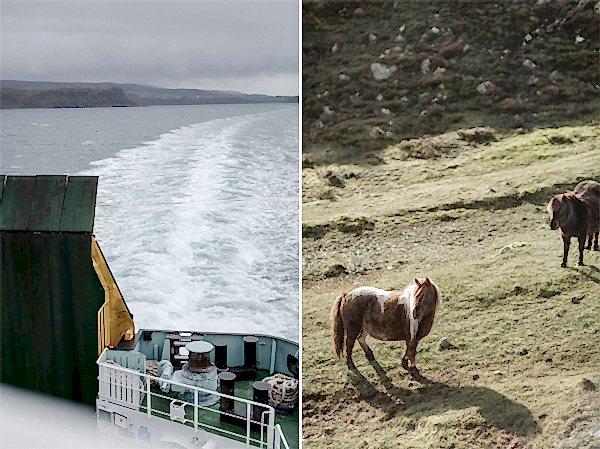 ferry to isle of harris and shetland ponnies