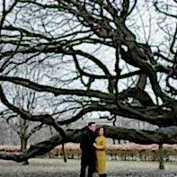 couple under large tree autumn in glasgow