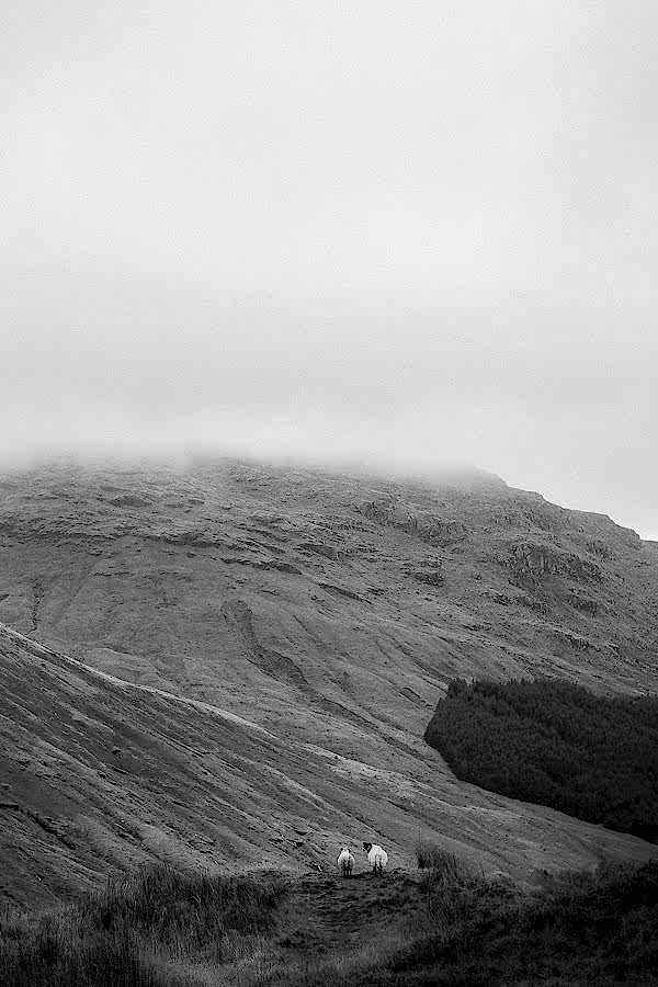 two sheep standing on the edge of a clif the rest and be thankful