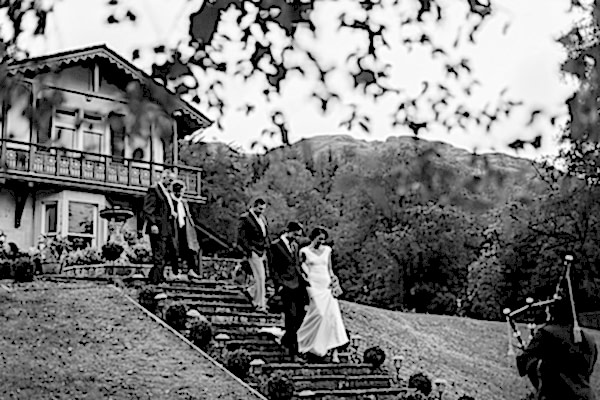 guests walking to the tree hosue
