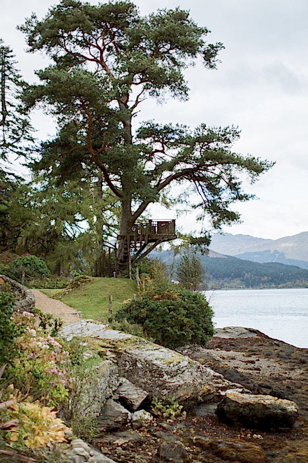 tree with viewing point suspended over scottish loch