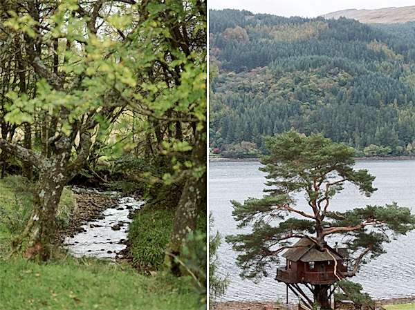 stream and tree house at loch goil