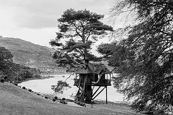 tree house at the lodeg on loch goil