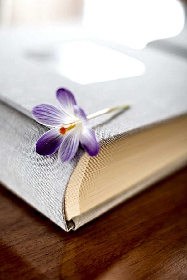 wedding albums from Glasgow and Edinburgh