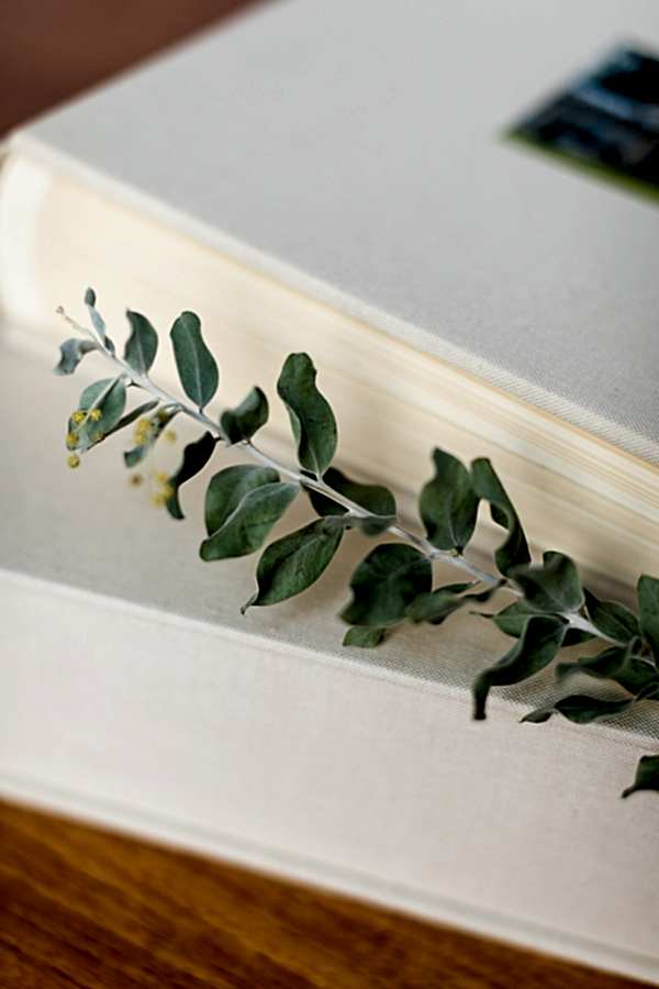 culzean castle wedding albums from Scotland