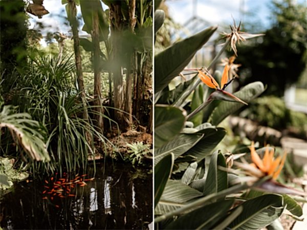 mount stuart garden 