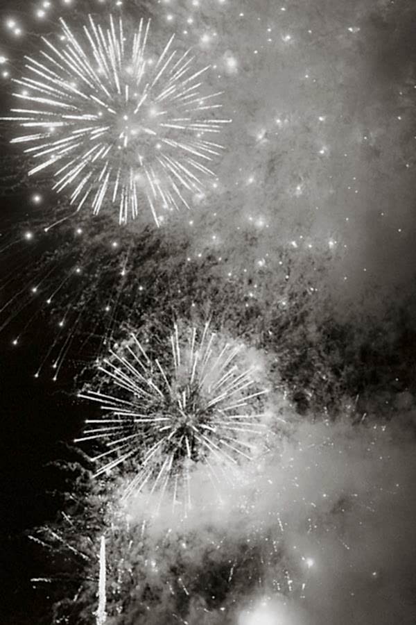 Dumfries House Wedding Photos fireworks