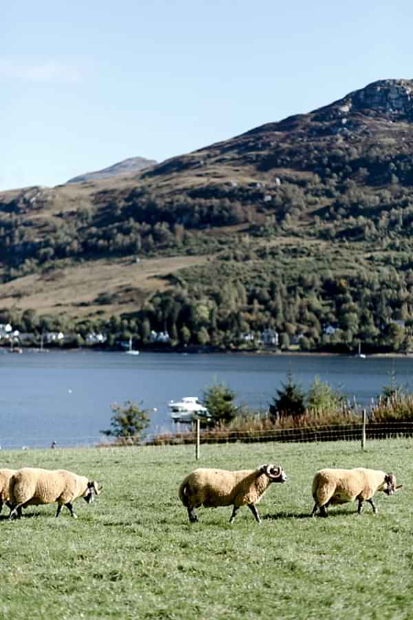 Wedding Photographers Glasgow The Lodge on Loch Goil 1