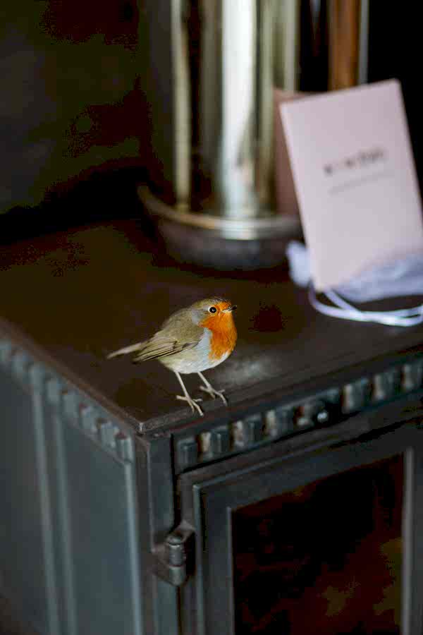 Wedding Photographers Glasgow The Lodge on Loch Goil 20