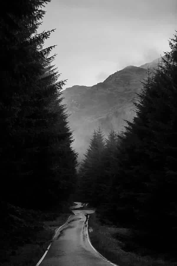 sigle road to the Lodge on Loch Goil