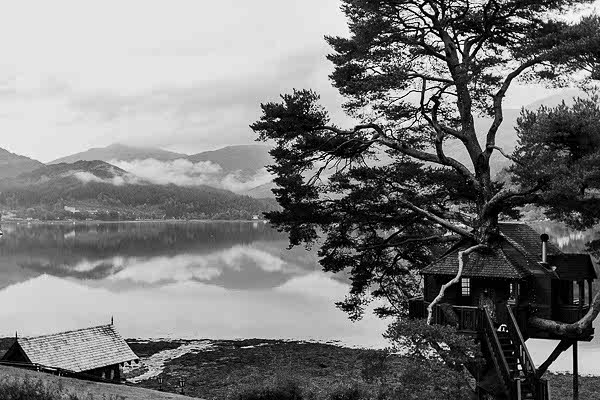 The Lodge Loch Goil Wedding Photos Scotland 105