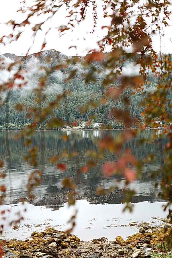 veiw form the beech tree on loch goil on the wedding day scotland