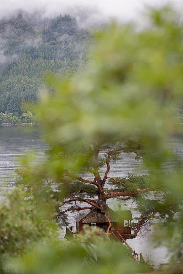 samll wedding in the tree house on loch goil