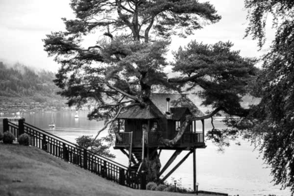 black and white picture of the tree house 