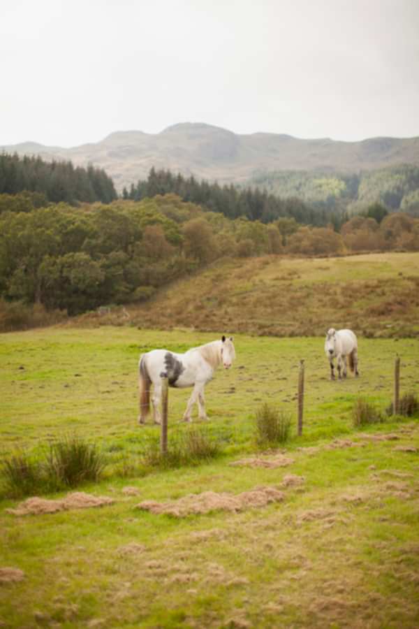 Property Hotel Photographer Glasgow Edinburgh Scotland 25
