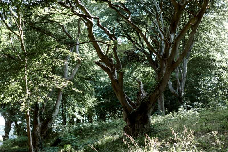 Lochgreen Wedding Photos Ayrshire Glasgow Edinburgh Scotland 1